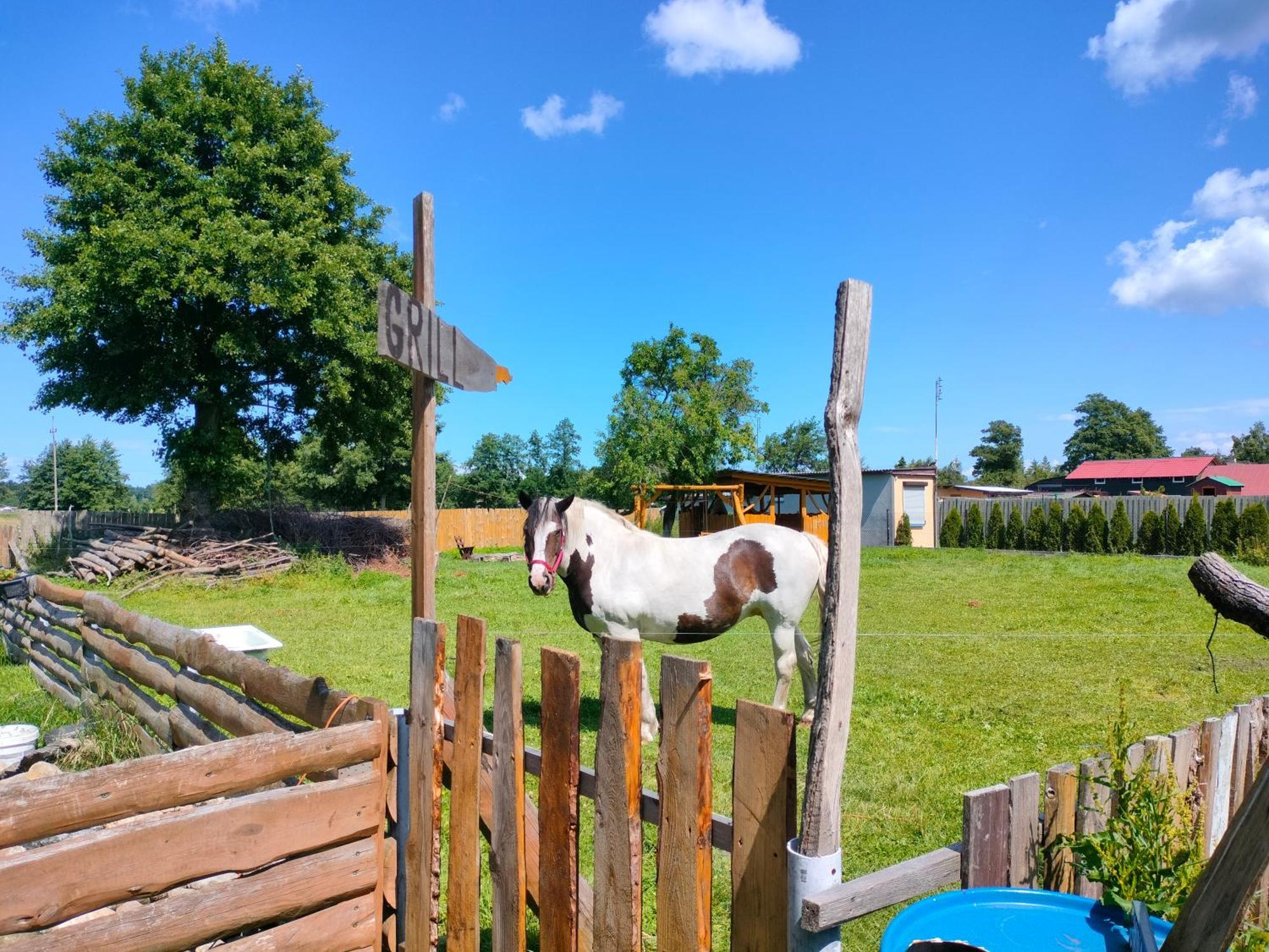 Farm stay Goscinne Danusia Karwienskie Bloto Drugie