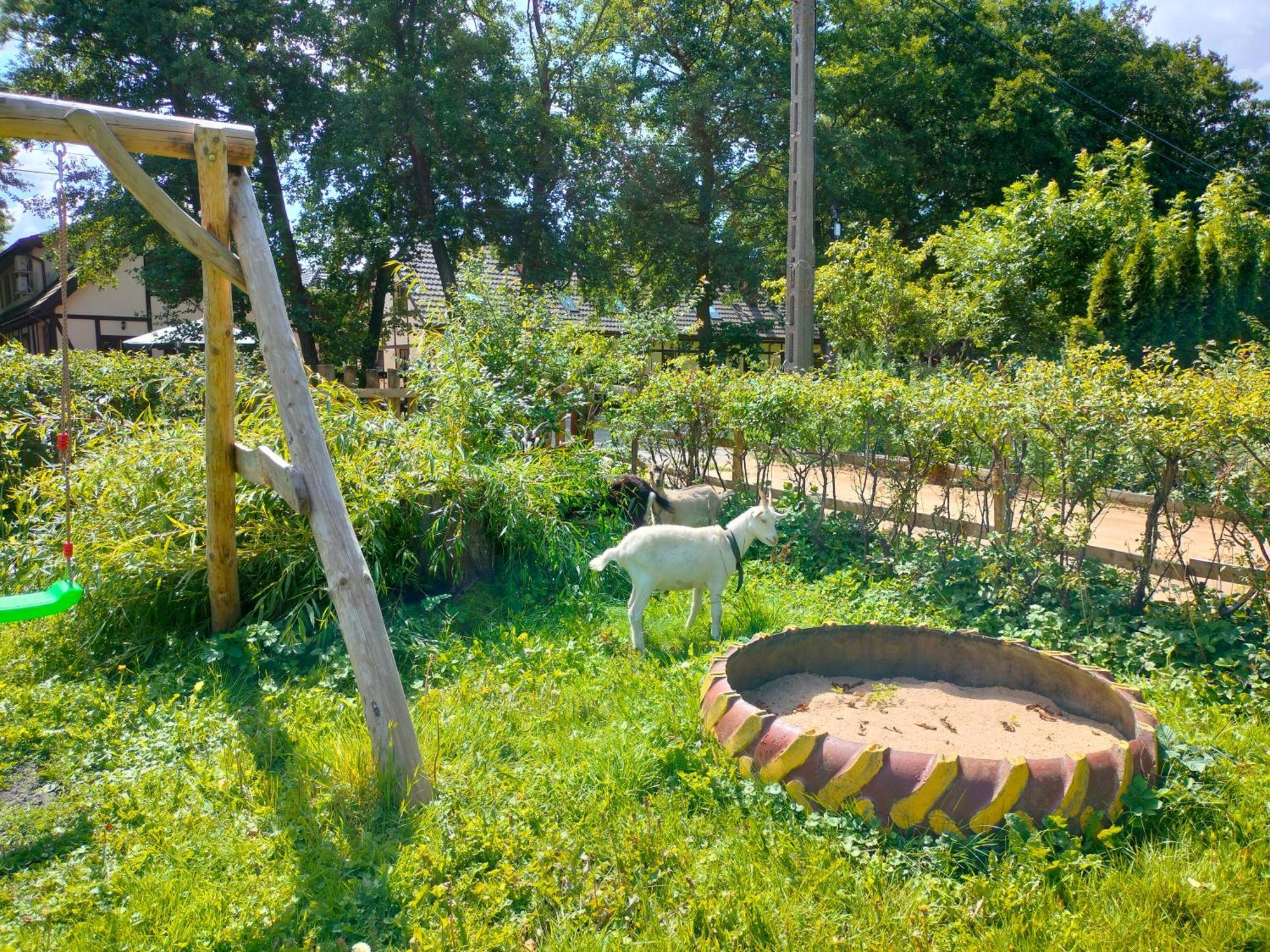 Goscinne Danusia Farm stay Karwienskie Bloto Drugie